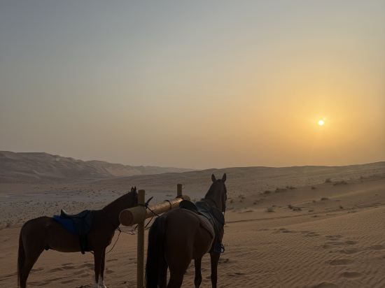 阿布扎比安納塔拉蓋斯爾阿薩拉沙漠度假村優惠