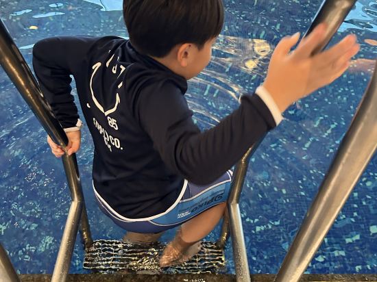 香港半島酒店優惠