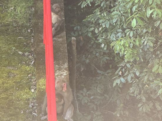 奥道後　壱湯の守 クーポン