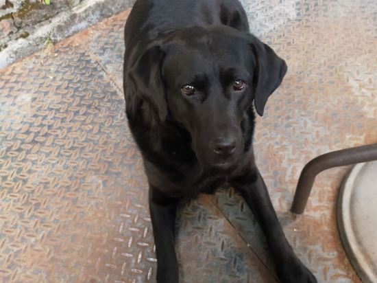 麗江老謝車馬店優惠