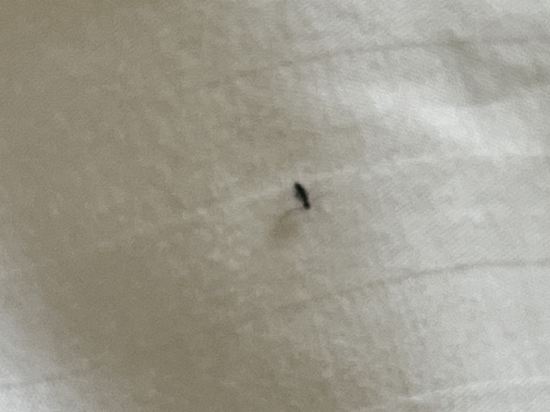 錦江之星風尚（中山石岐大信新都滙店）優惠