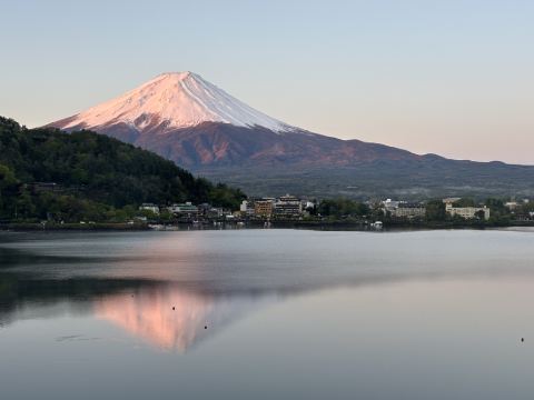 河口湖ホテルニューセンチュリー クーポン