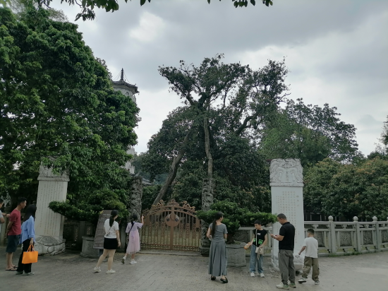 新興翔順龍山酒店優惠