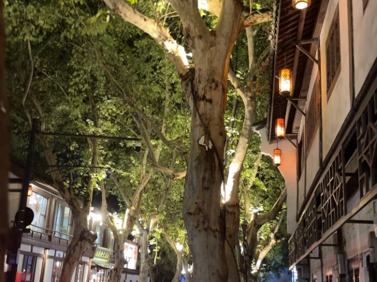杭州西湖希爾頓嘉悅裡飯店優惠