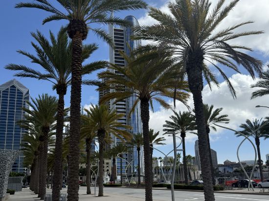 聖迭戈洲際酒店 - IHG 旗下飯店優惠