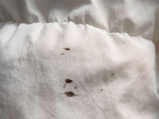 台北老爺大酒店優惠