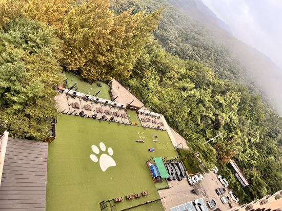 켄싱턴리조트 충주 쿠폰