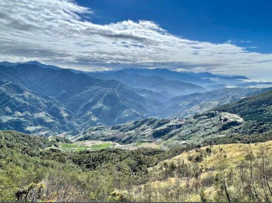 臺中心戀逢甲優惠