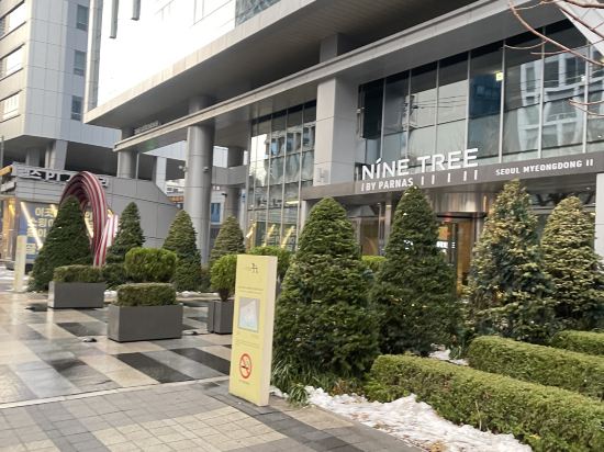 明洞九樹2號精品酒店優惠