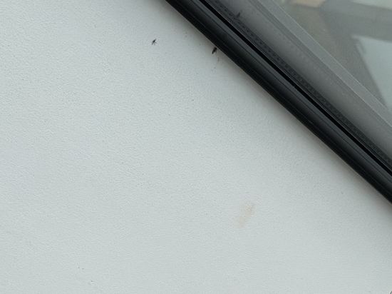 皇后鎮湖岸盛橡度假飯店優惠