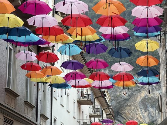 維賽斯克魯茲酒店優惠