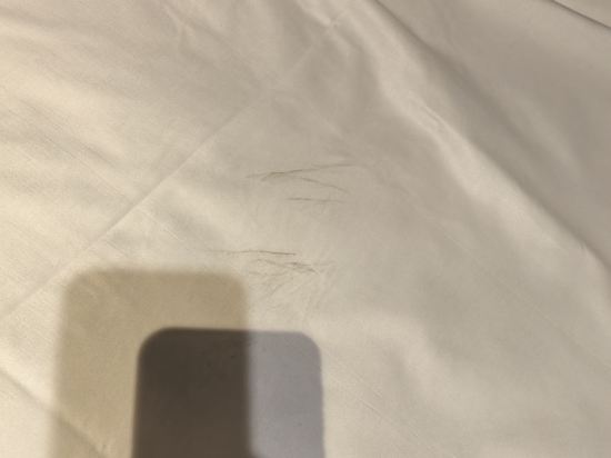 黃金海岸朗廷飯店和珠寶公寓優惠