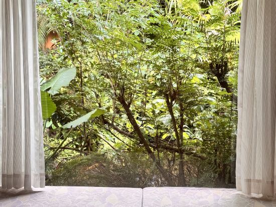 河源客天下.漣岸.禧悦莊温泉美宿優惠