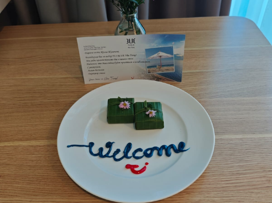 芽莊艾日亞納智能公寓式飯店優惠