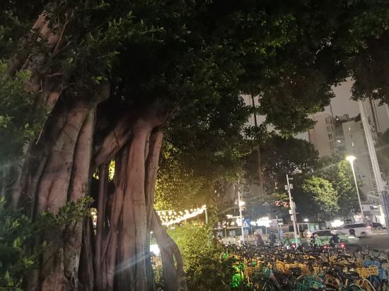 深圳方格雅仕飯店（南山科技園店）優惠