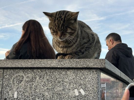 伊斯坦堡皇冠假日酒店優惠