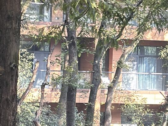 杭州千禧度假酒店優惠