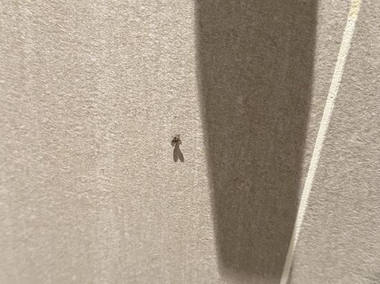 新加坡港灣彩鴻酒店 （Staycation Approved）優惠