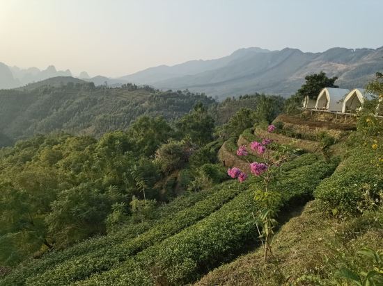 英德芸居度假酒店優惠
