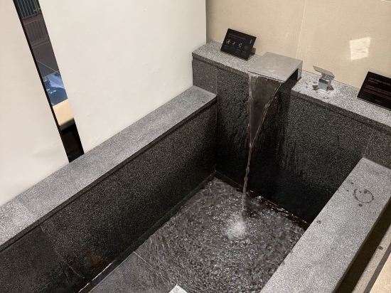 소노펠리체 델피노 고성 쿠폰