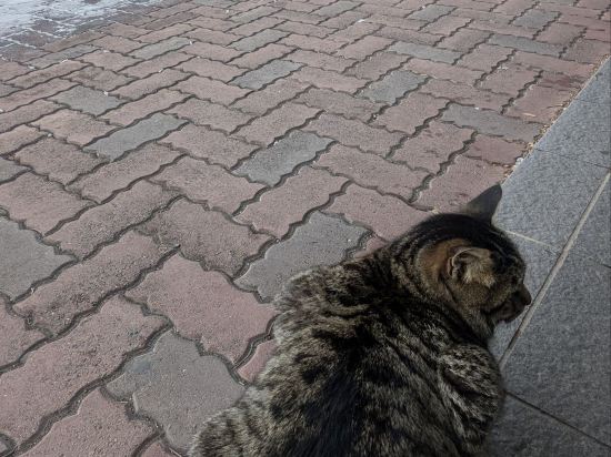 湯宿くったり温泉レイクイン クーポン