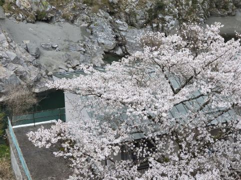 サンリバー大歩危 クーポン