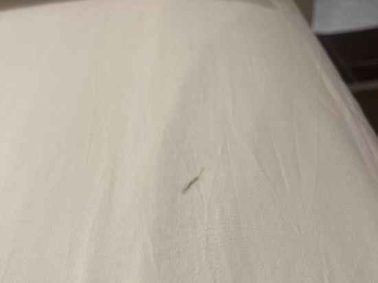 梳邦9號廣場酒店優惠