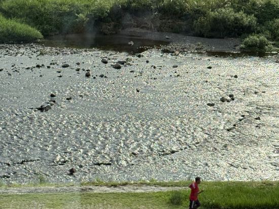 京都索拉利亞西鐵尊貴酒店優惠