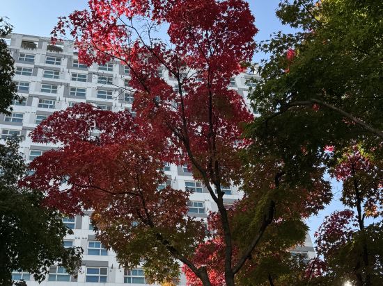 早晨天空飯店優惠