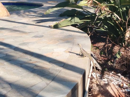 艾維和夏娃公寓優惠