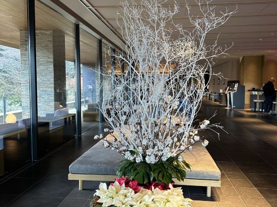 箱根小涌園　天悠 クーポン