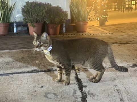 香港文化旅館-翠雅山房優惠