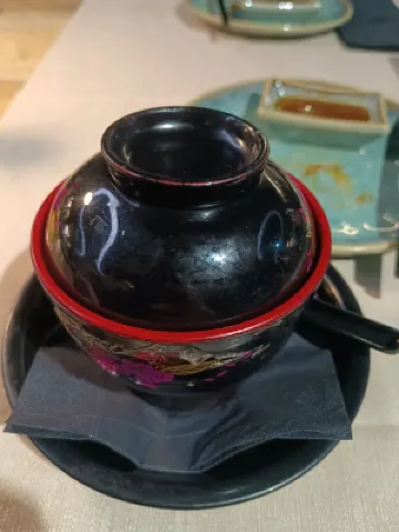 تيوليب إن بادوفا Photos