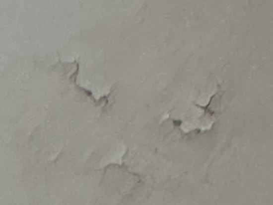 智慧女神與海神酒店優惠