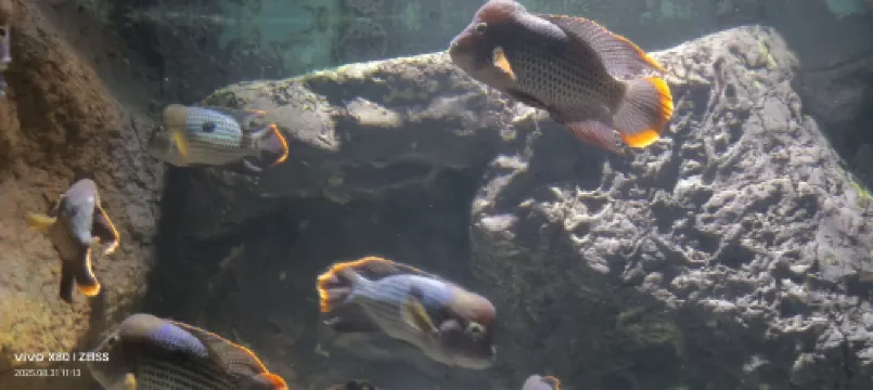 Xiangshuiwan Apartment Hotel (Changsha Wuyi Square Yihao Mansion) Photos