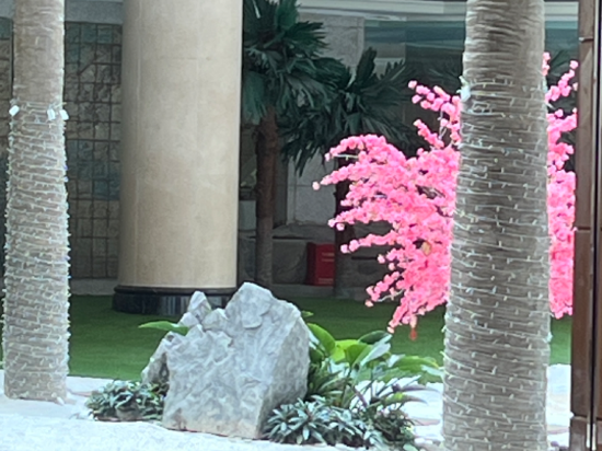 深圳陽光酒店優惠