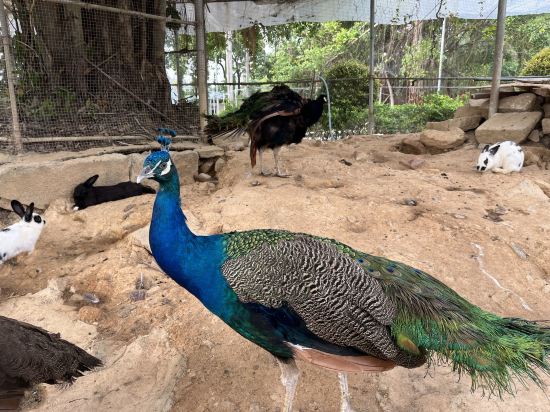 中山温泉賓館優惠