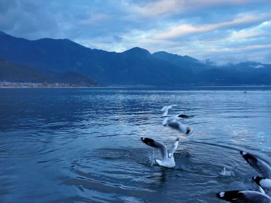 瀘沽湖青山青旅優惠