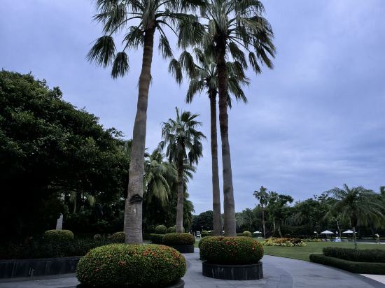 三亞海棠灣民生威斯汀度假飯店優惠