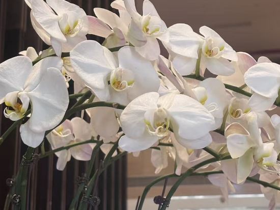 惠州翡翠山華美達酒店優惠