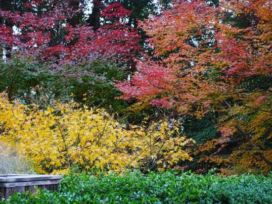 大正屋日式旅館優惠