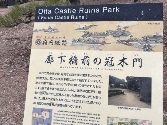 ホテルマイステイズ大分 クーポン