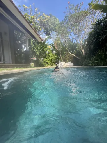 Special Nyepi Offer! Jungle Amaranth Villa Canggu – Exclusive 3BR Retreat with Pool الترفيه والتسلية Photos