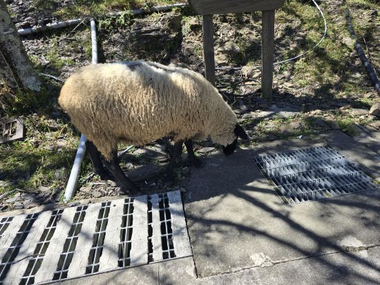 新驛旅店（臺中車站店）優惠