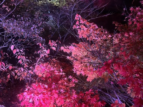 秋保溫泉 秋保格蘭飯店優惠