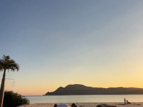 ザ　シーン クーポン