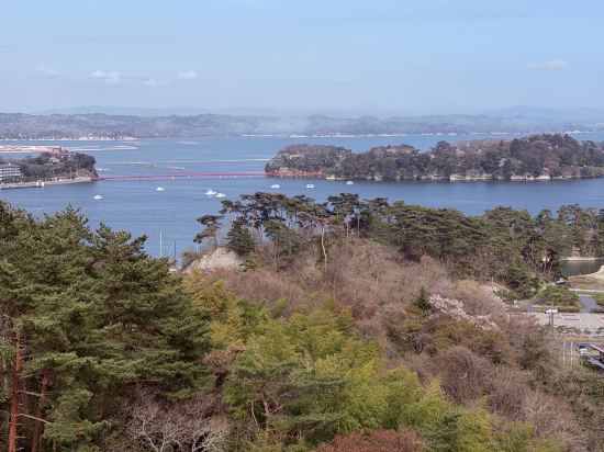 ホテル松島大観荘 クーポン