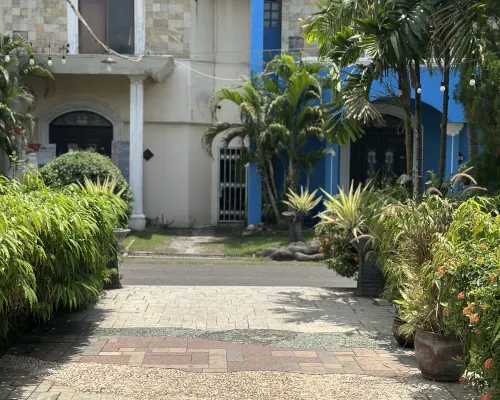  Photos