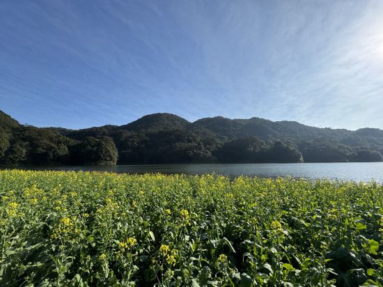 廣州從化温泉富力泉天下亞特度假別墅優惠