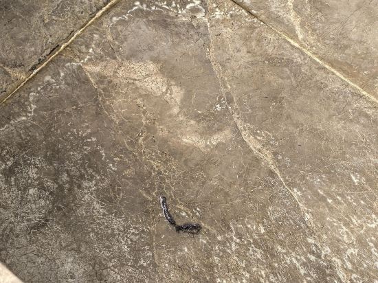 台山頤和温泉城大酒店優惠